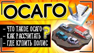 Новый взгляд на полис ОСАГО – что ждать в 2024 году?