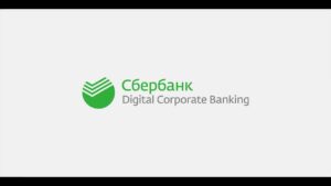 Как правильно заполнить платежное поручение в Сбербанк Бизнес Онлайн – образец